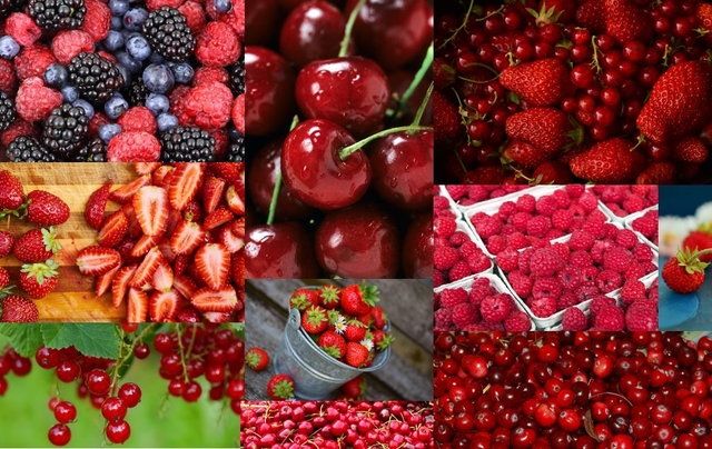 Kaléido fruits rouge