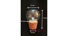 bouchon de verre avec embout en lige