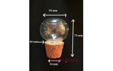 bouchon de verre avec embout en lige