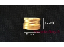 bouchon vis 23 mm