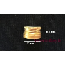 bouchon vis 23 mm