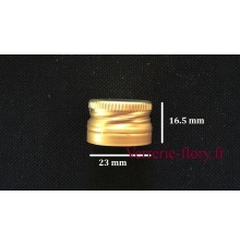bouchon vis 23 mm