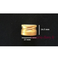 bouchon vis 23 mm