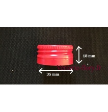 bouchons vis 35 mm 