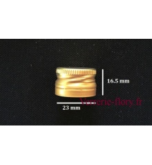 bouchon vis 23 mm