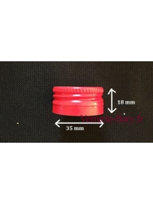 bouchons vis 35 mm 