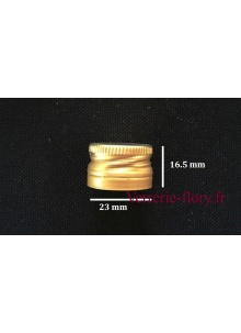 bouchon vis 23 mm