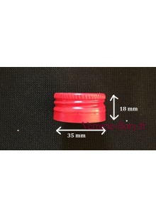 bouchons vis 35 mm 