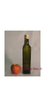 lot-de-24-bouteilles-marasca-500-ml-vert-antique 2